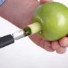 Apfelentkerner