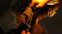 Ausbeinmesser Alpha