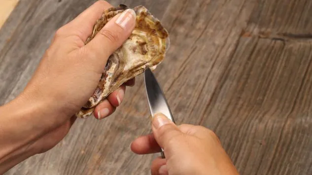 Austern-/Hartkäsemesser sknife