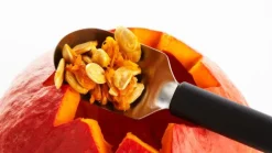 Fruchtlöffel
