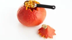 Fruchtlöffel