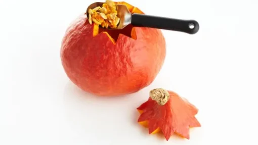 Fruchtlöffel