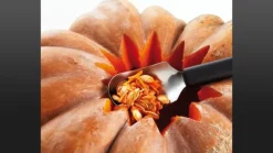 Fruchtlöffel