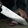 Kai Shun Kiritsuke
