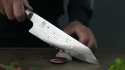 Kai Shun Kiritsuke