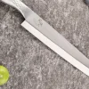 Shoso Yanagiba