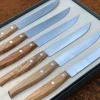 Steak- und Pizzamesser Set