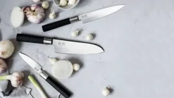 Wasabi Messerset