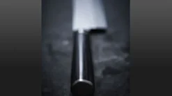 Yanagiba Shun Pro Sho