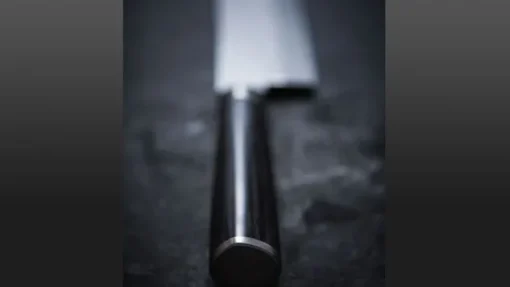 Yanagiba Shun Pro Sho