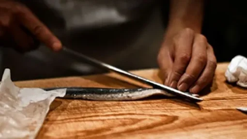 Yanagiba Shun Pro Sho